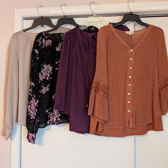 Ladies 12 Pc Assorted Tops & Blouses - Lg - Picture 3 of 4